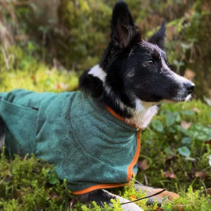 DogDry Lusso - Il benessere del tuo cane, asciutto e protetto