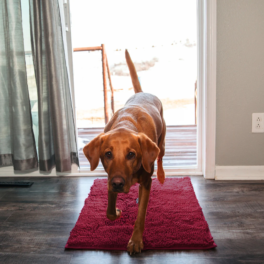 PulisciPaw™ - Assorbe sporco e acqua in un attimo