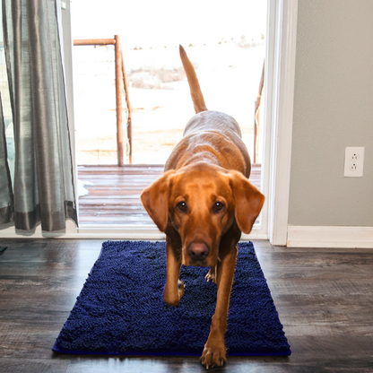 PulisciPaw™ - Assorbe sporco e acqua in un attimo