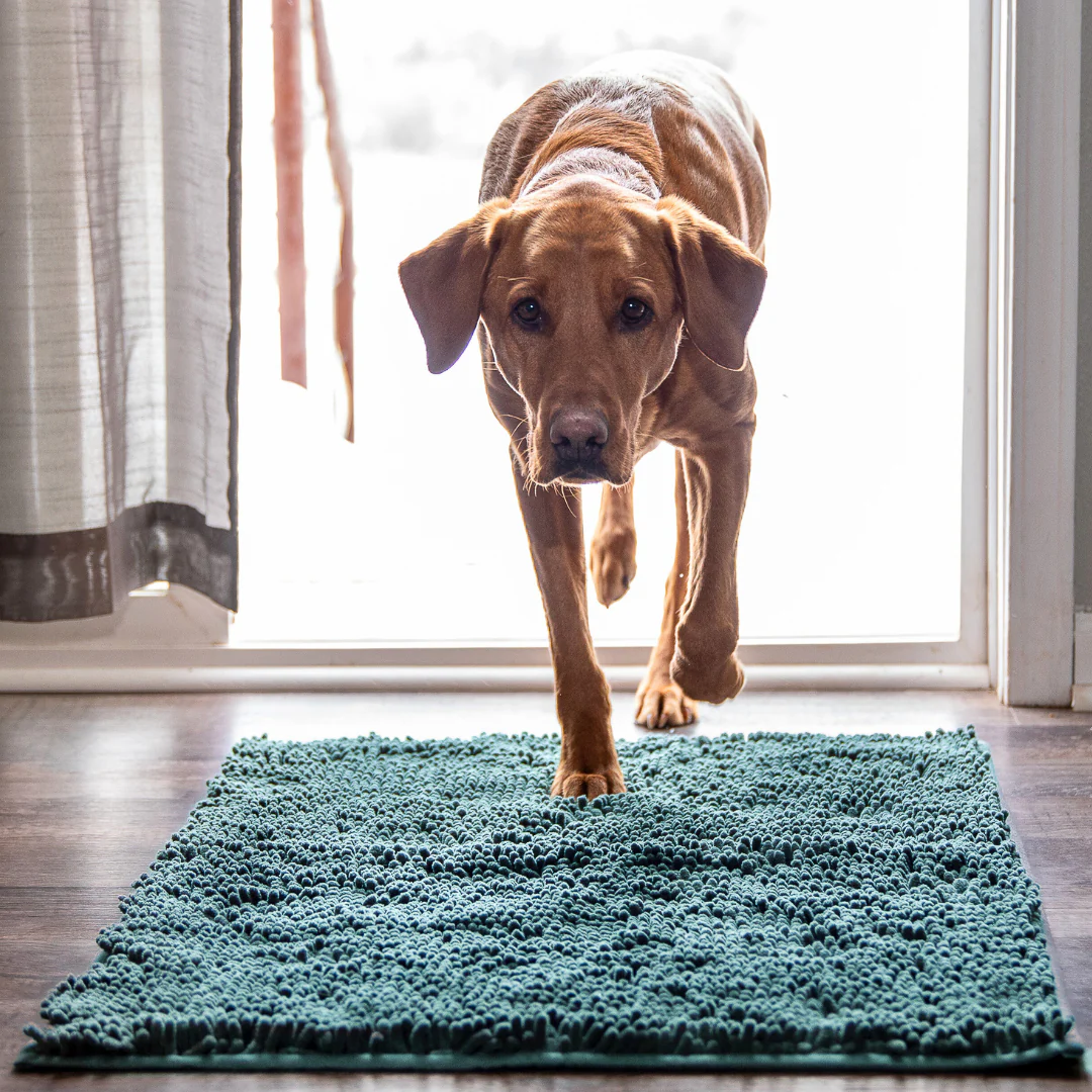 PulisciPaw™ - Assorbe sporco e acqua in un attimo