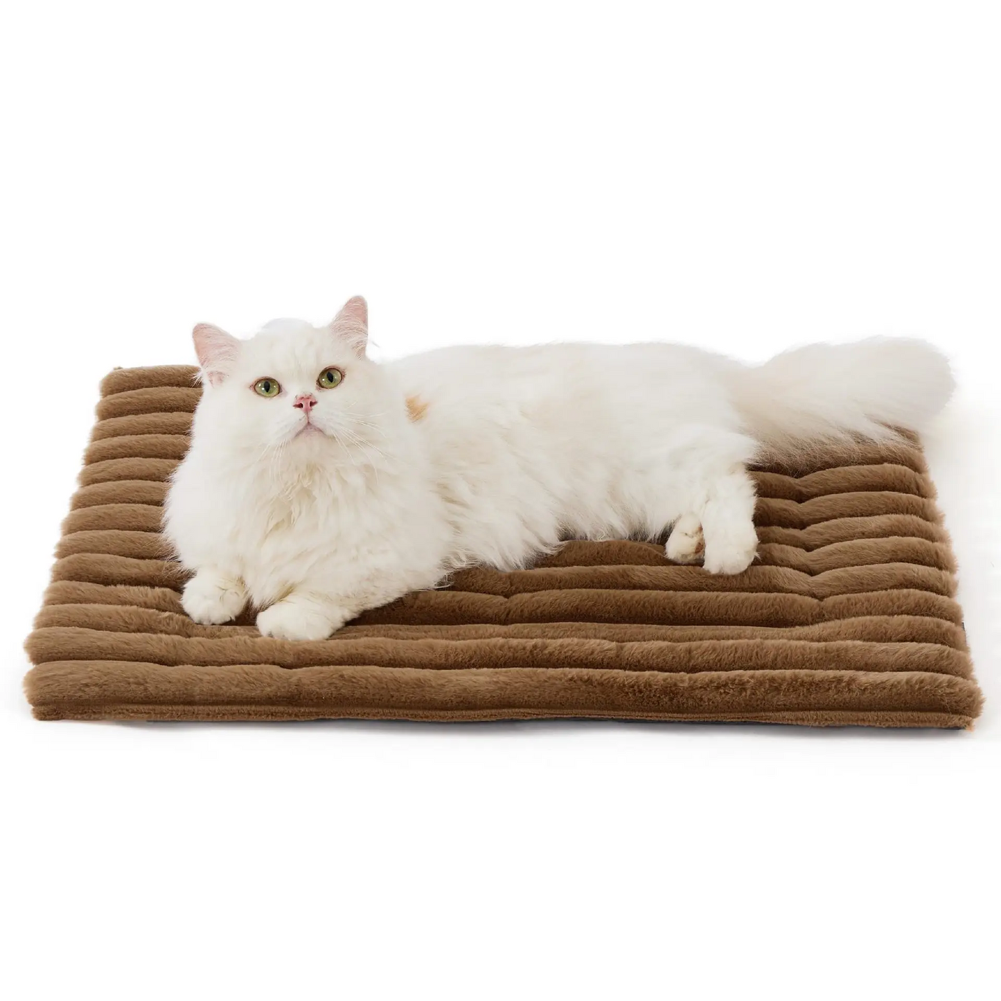 CaldoPet - Il calore naturale che il tuo pet ama