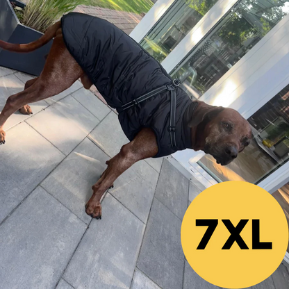 PeluCaldo™ - Il calore che protegge ogni passeggiata