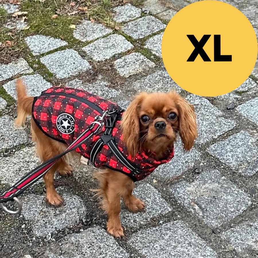 PeluCaldo™ - Il calore che protegge ogni passeggiata