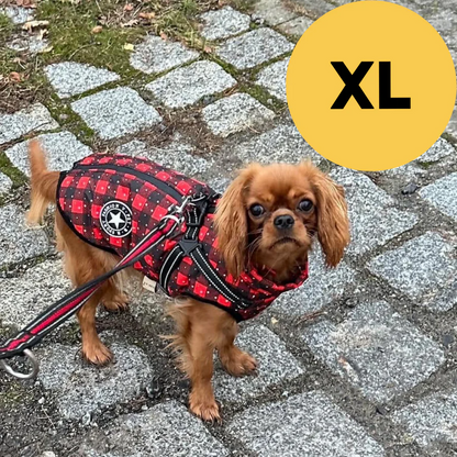 PeluCaldo™ - Il calore che protegge ogni passeggiata