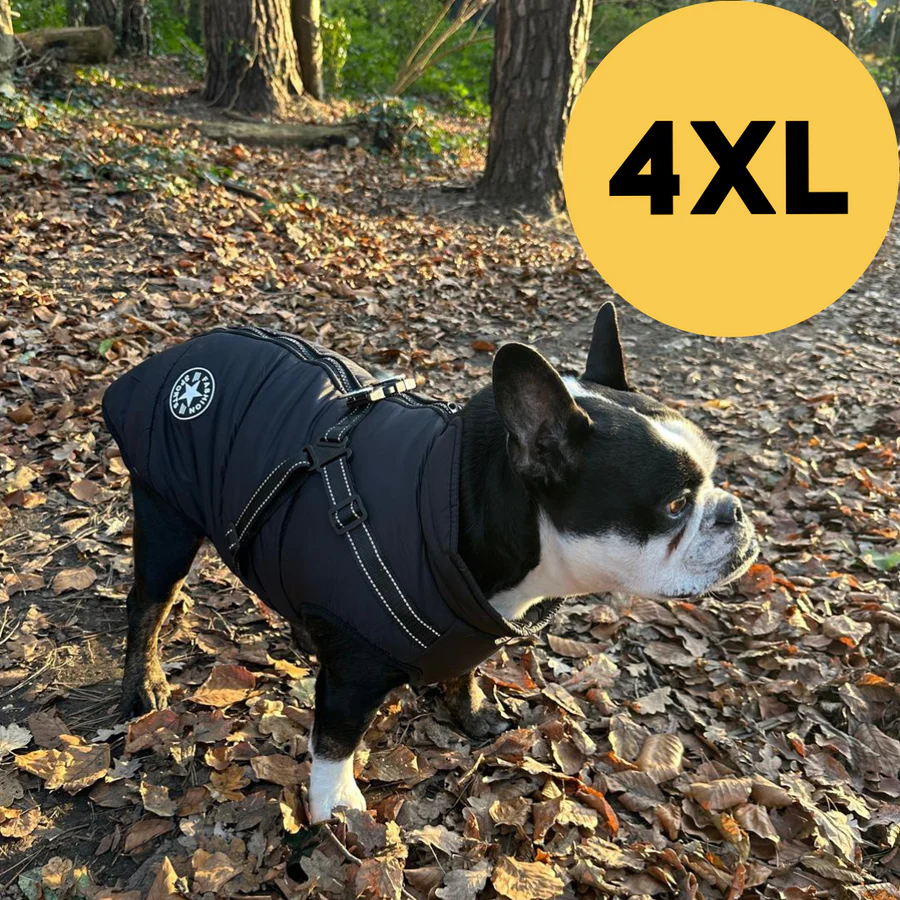 PeluCaldo™ - Il calore che protegge ogni passeggiata